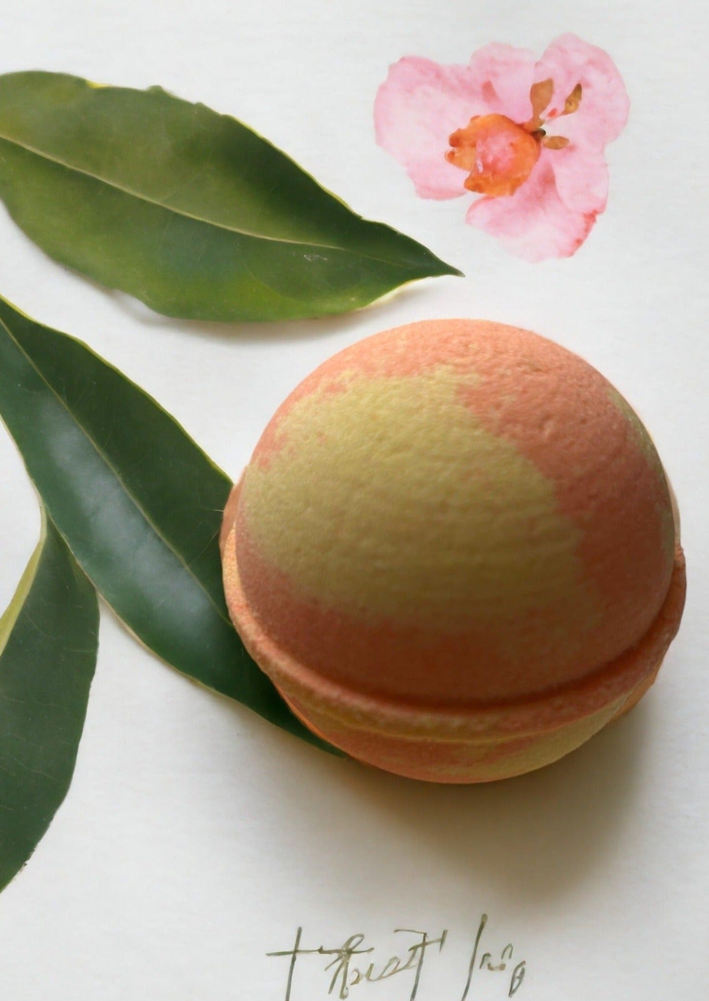 Handmade, gorgeously scented Mango-Papaya cocoa butter bath bomb with a hint of citrus that helps create a sensory escape to a tropical paradise.